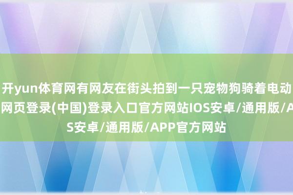 开yun体育网有网友在街头拍到一只宠物狗骑着电动三轮车-开云网页登录(中国)登录入口官方网站IOS安卓/通用版/APP官方网站